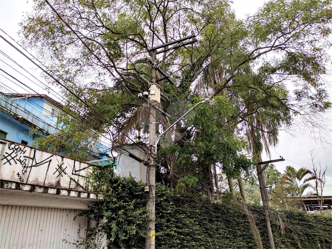 Terreno à venda com 5 quartos em Mandaqui, São Paulo, SP