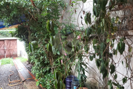 Casa Térrea à venda com 3 quartos em Jardim Marajoara, São Paulo, SP