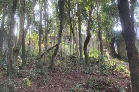 Terreno à venda em Jardim Peri Peri, São Paulo, SP