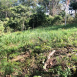 Terreno à venda no Centro, Bom Jesus dos Perdões, SP