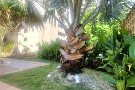 Apartamento porteira fechada com vista para o mar e lazer completo em Pitangueiras – Guarujá