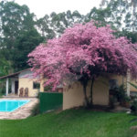 Chácara à venda em Sorocamirim (canguera), São Roque, SP