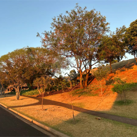 Terreno à venda em Residencial e Empresarial Alphaville, Ribeirão Preto, SP
