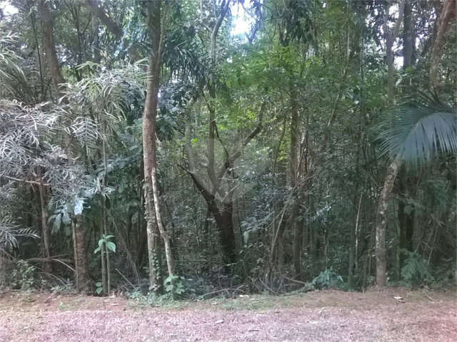 Terreno à venda em Serra da Cantareira, Mairiporã, SP