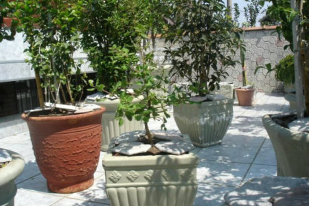 Casa à venda com 3 quartos, sendo 1 suíte, em Conjunto Residencial Butantã, São Paulo, SP