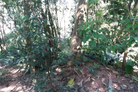 Terreno à venda em Tucuruvi, São Paulo, SP