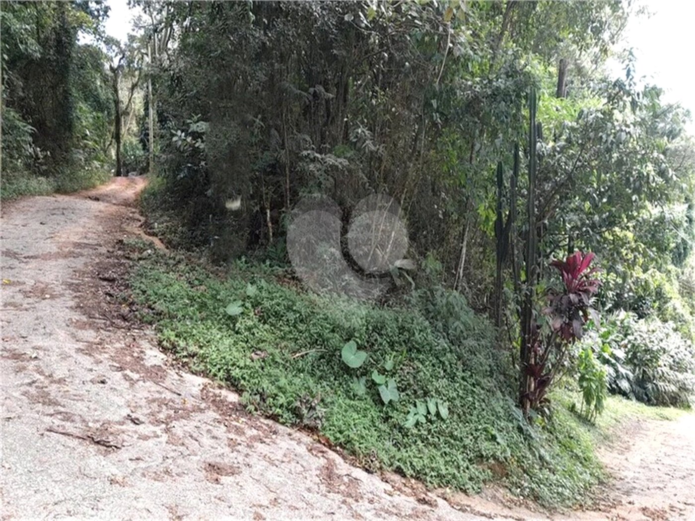 Terreno à venda em Serra da Cantareira, Mairiporã, SP
