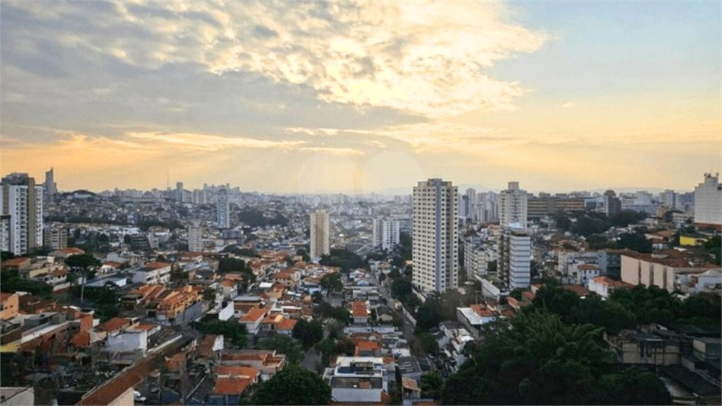 Apartamento à venda com 3 quartos, sendo 2 suítes, em Sumaré, São Paulo, SP