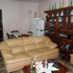 Exuberante no Horto Florestal
