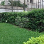 Apartamento à venda com 3 quartos, sendo 1 suíte,  em Indianópolis, São Paulo, SP