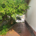 Casa Térrea à venda com 3 quartos em Tremembé, São Paulo, SP