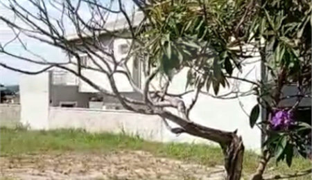 Terreno à venda com 1 suíte no condomínio Bosque dos Cambarás, Valinhos - SP
