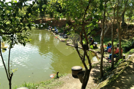 Terreno à venda com 4 quartos no condomínio Recanto dos Passaros, São Miguel Arcanjo - SP