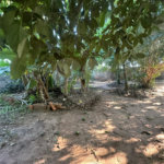 Terreno à venda em Residencial Ponta Porã I, Ponta Porã, MS