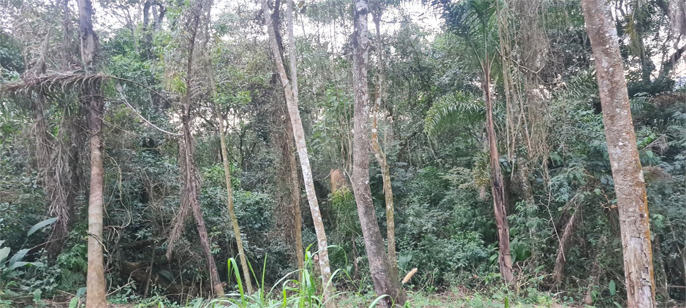Condomínio à venda em Serra da Cantareira, Mairiporã, SP