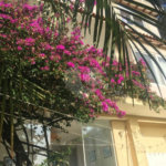 Casa à venda com 5 quartos, sendo 4 suítes, no condomínio Jardim Vitória Régia, São Paulo - SP