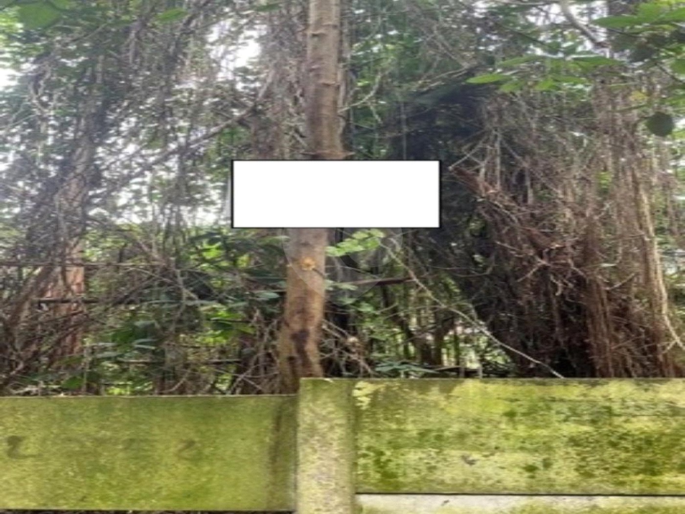 Terreno à venda em Jardim Ampliação, São Paulo, SP