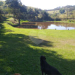 Sítio à venda com 4 quartos, sendo 1 suíte,  em Cruz das Almas, Biritiba-mirim, SP