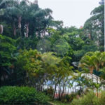 Apartamento à venda com 2 suítes em Jardim Londrina, São Paulo, SP