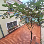 Casa Comercial para Locação em Mirandópolis