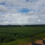 Fazenda à venda com 2 quartos em Canabrava, João Pinheiro, MG