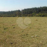 Terreno à venda no condomínio Industrial Mazetto e Murakami, Salto - SP