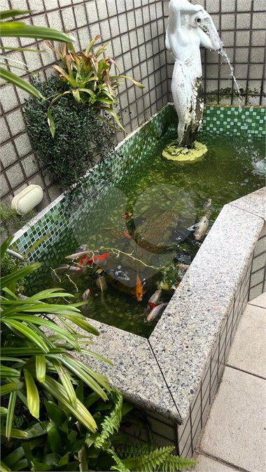 Sobrado à venda com 3 quartos, sendo 1 suíte, em Vila Medeiros, São Paulo, SP