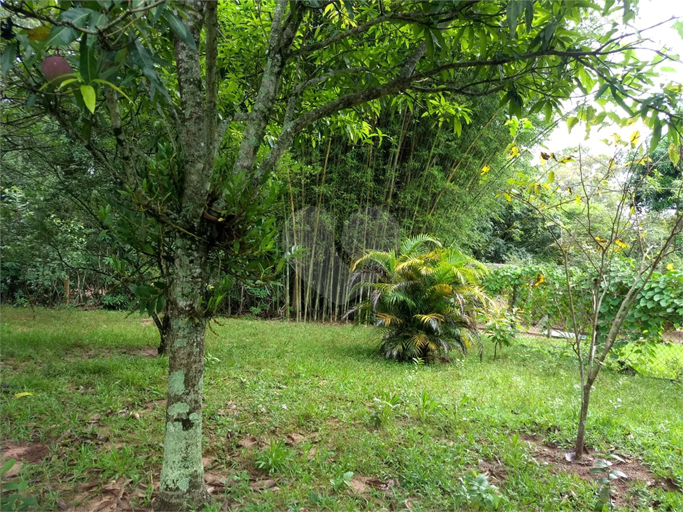 Chácara a venda no Residencial Planalto Serra Verde em Itirapina
