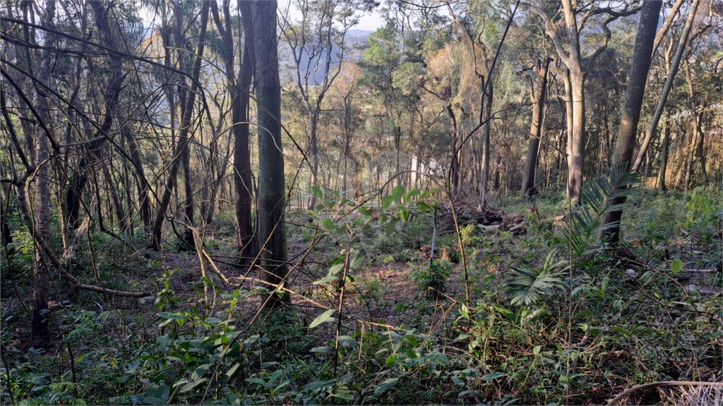 Terreno à venda em Serra da Cantareira, Mairiporã, SP