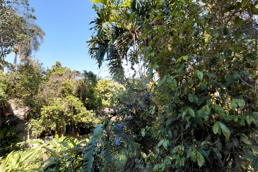 Terreno à venda em Horto Florestal, São Paulo, SP