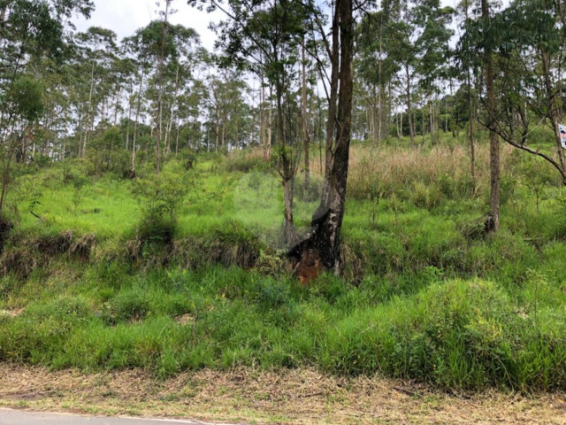 Terreno à venda em Serra da Cantareira, Mairiporã, SP