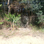 Terreno à venda em Serra da Cantareira, Mairiporã, SP