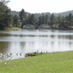 Terreno à venda no condomínio São Joaquim, Vinhedo - SP