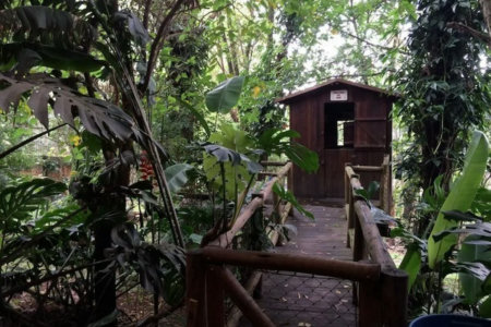Sobrado à venda com 5 quartos, sendo 3 suítes,  em Fazenda Morumbi, São Paulo, SP