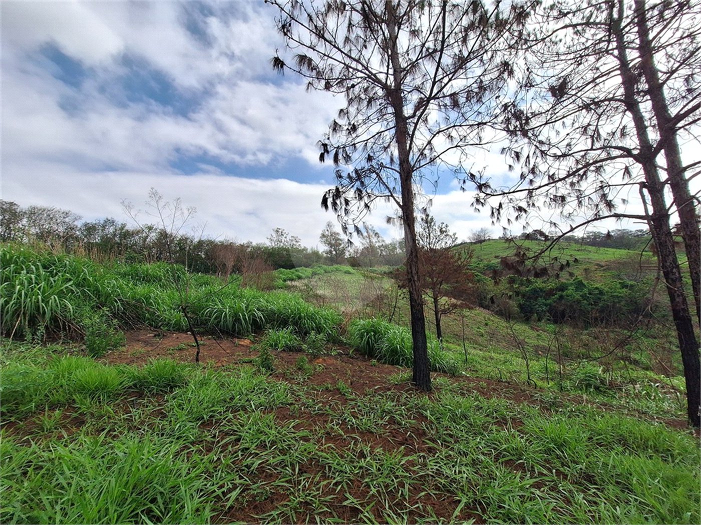 Área de Terra à venda com 1 suíte em Cocais, Itatiba, SP