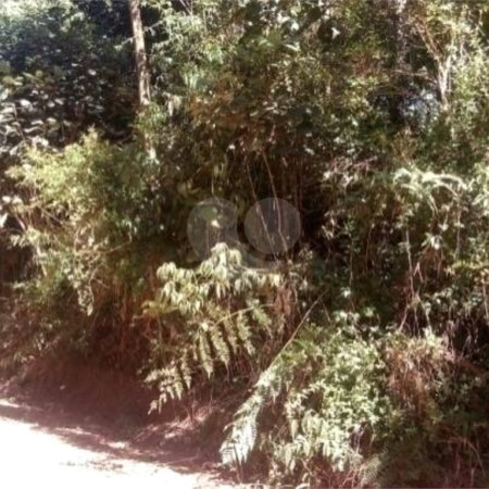 Terreno à venda em Estância Angelina, Suzano, SP