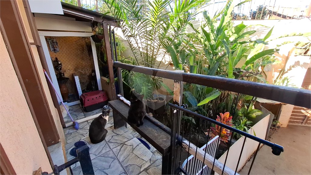 Casa Térrea à venda com 2 quartos em Tucuruvi, São Paulo, SP
