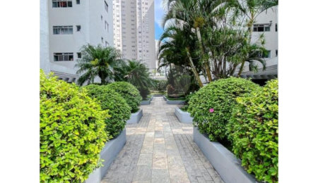 Apartamento à venda com 3 quartos, sendo 1 suíte, em Belenzinho, São Paulo, SP