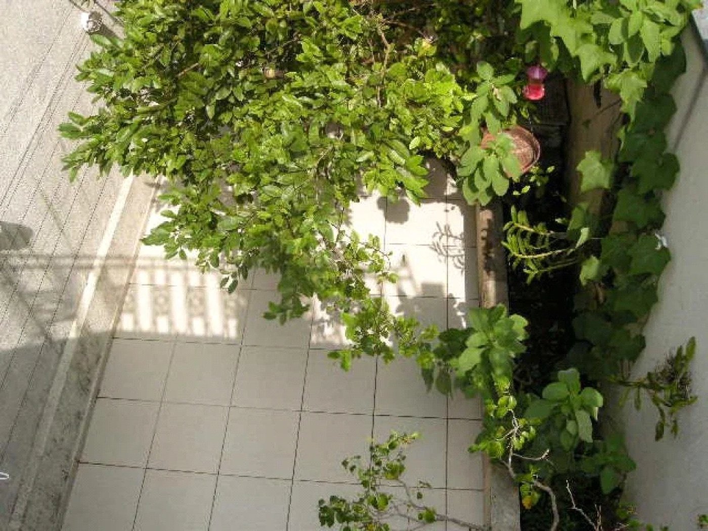 Casa à venda com 2 quartos em Jardim Trussardi, São Paulo, SP