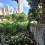 Terreno à venda com 1 quarto em Água Fria, São Paulo, SP