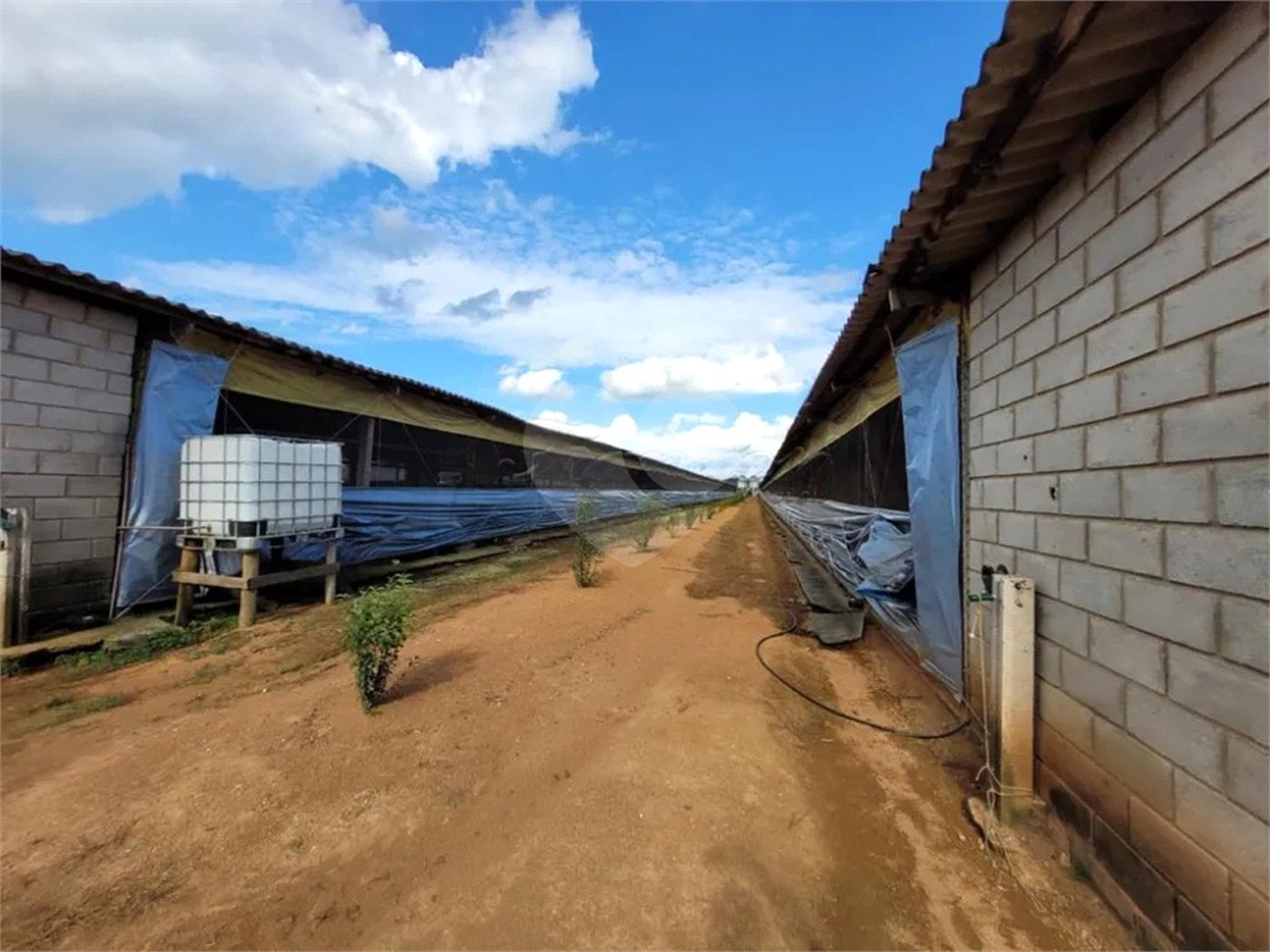 Chácara à venda com 3 quartos, sendo 1 suíte, em Cercadinho, Alambari, SP