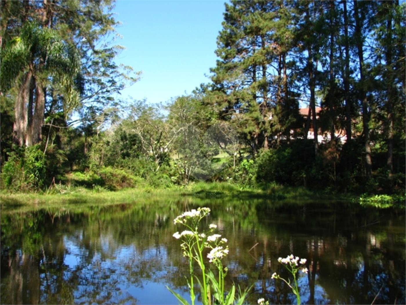 Sítio à venda com 3 quartos, sendo 1 suíte,  em Caputera, Mogi das Cruzes, SP