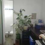 Apartamento à venda com 3 quartos, sendo 1 suíte, em Alto da Boa Vista, São Paulo, SP