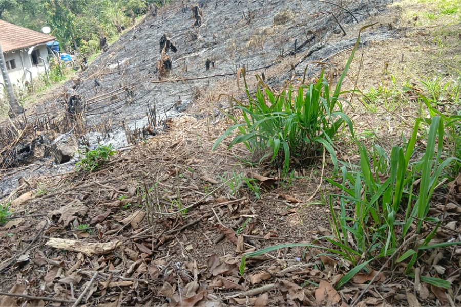 Terreno à venda em Rio Acima, Mairiporã, SP