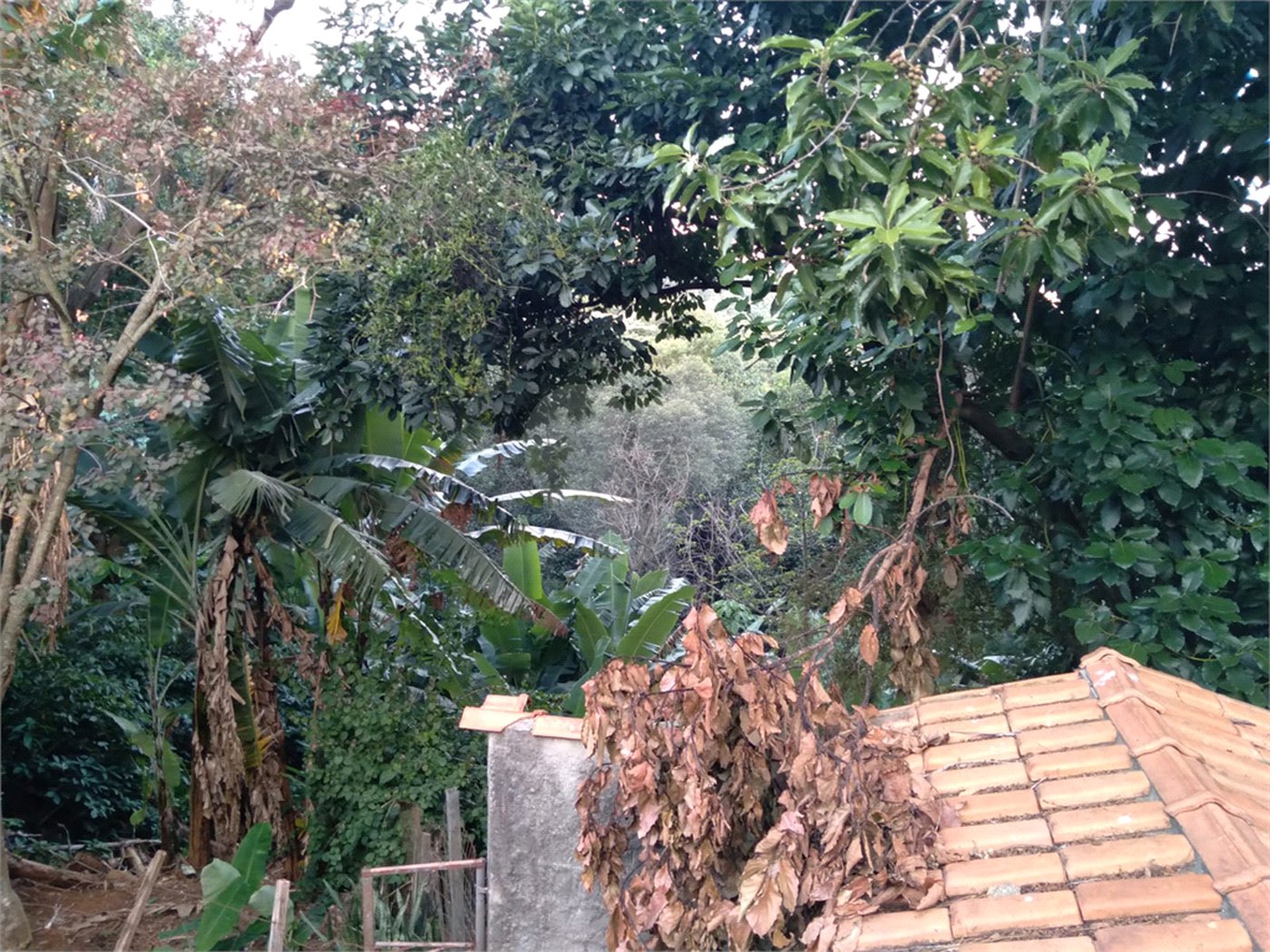 Terreno à venda em Jaraguá, São Paulo, SP