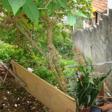 Terreno à venda em Água Fria, São Paulo, SP