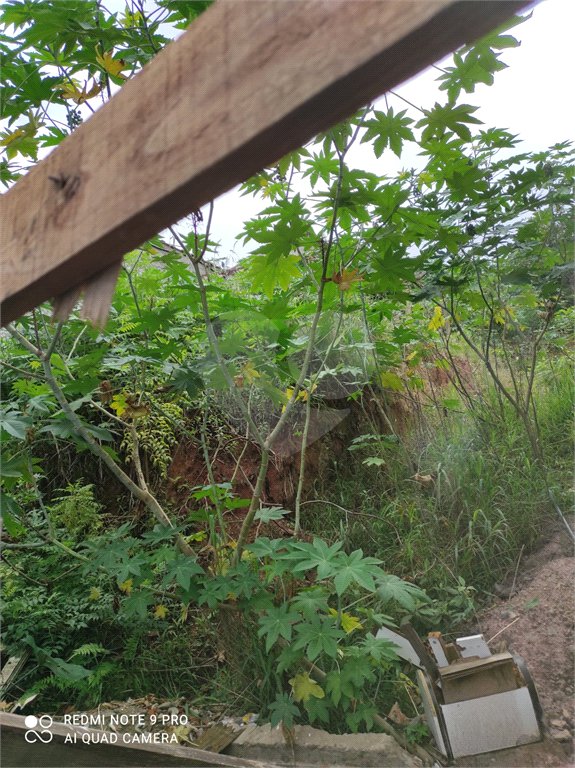 Terreno à venda em Chora Menino, São Paulo, SP