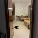 Apartamento á venda - São Caetano do Sul
