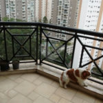 Apartamento à venda com 3 suítes em Vila Andrade, São Paulo, SP