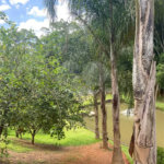 Vende-se chácara com lago Nazare Paulista com 3.000 m²